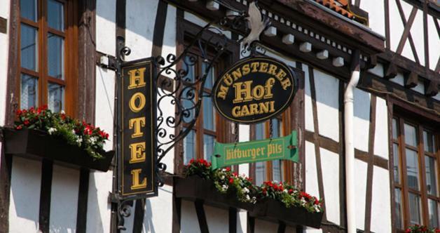 Hotel Munsterer Hof Exteriér fotografie